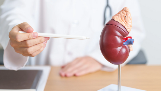 Apoyo a las glándulas suprarrenales: consejos esenciales para una salud óptima